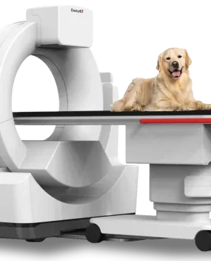 CBCT SISTEM